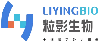 深圳粒影生物科技有限公司